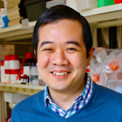 Profile picture F.T. (Freddy) Nguyen MD, PhD